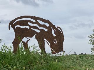 AC23 - Marcassin tête baissée